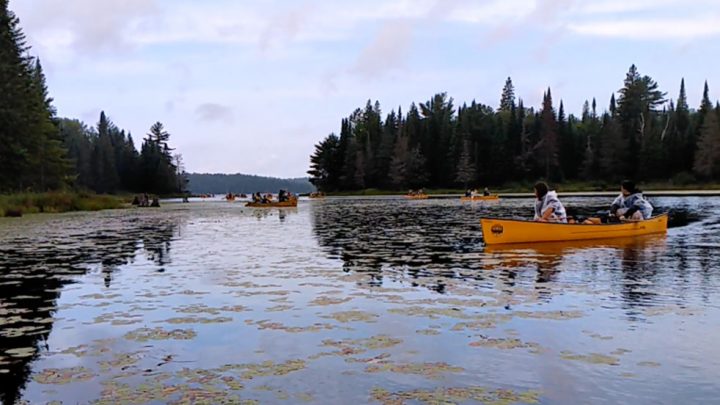 People canoeing